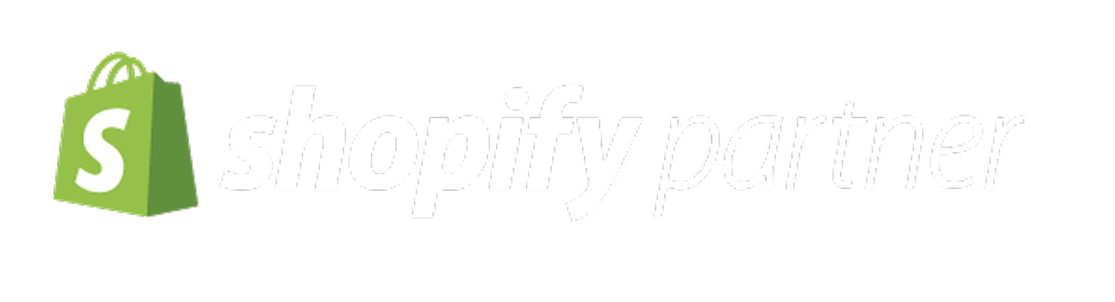 Shopify Partner